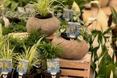 1_stone-carved-boulder-pots