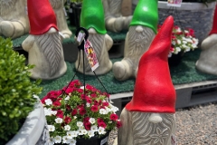 Garden-Gnomes