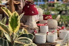 Mushroom-Giftware