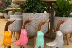 coloured-wooden-ducks