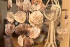 shell-chimes