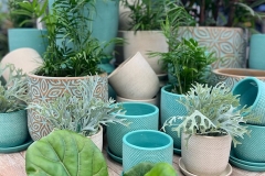 Aqua-Pots