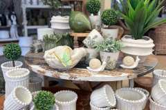 Botanical-pots