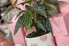 Bow-pots