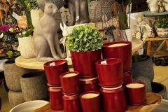 Glazed-Pots