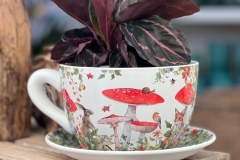 Teacup-Planters