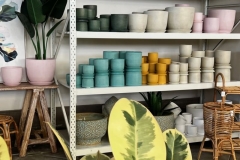colour-matte-pots