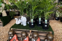 1_garden-centre
