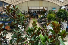 1_nursery