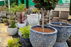 Garden-pots-blue-Serenity-Murray-Bridge