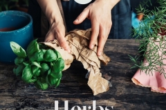 HERBS