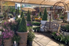 topiary