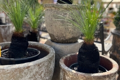 Atlantis-pots
