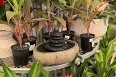 Small-Zen