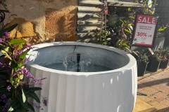 low-water-feature