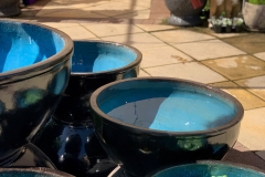 water-bowls